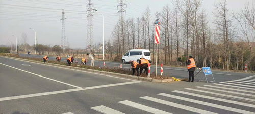 东海公路 绿化美化与养护管理并驾齐驱，构筑生态与安全双屏障