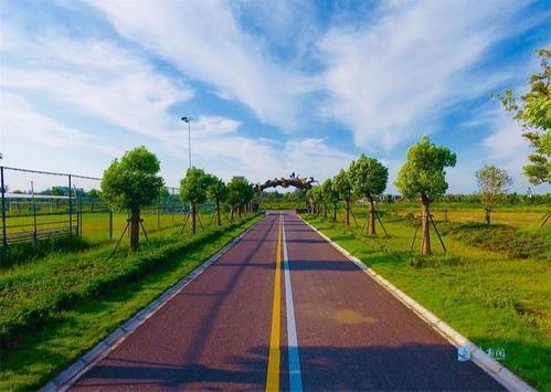 服务乡村振兴 宿迁农村公路管理养护体制改革在路上