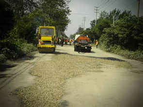 织密农村公路养护网 探寻质量提升与长效管理之道
